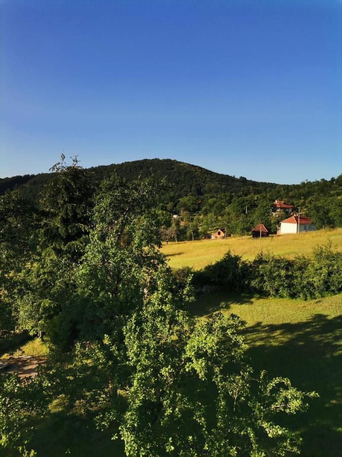 Srdica Kuca Villa Trnava  Eksteriør billede